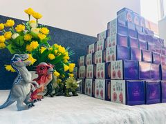 -吉而慧幼儿园-原红黄蓝幼儿园(世华水岸园)