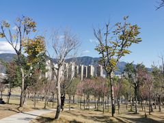 -牛岗山公园