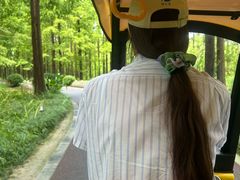 -黄海国家森林公园