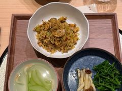 -棕榈泉国际高尔夫学院