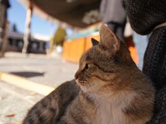-老光明岗琼甜茶馆