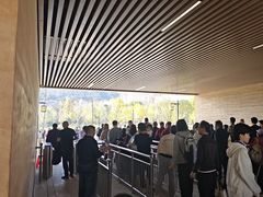 -千年银杏谷文化旅游区