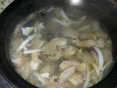 -探窝·竹笙椰子鸡(杨箕店)