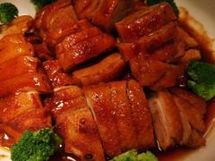 -石家庄万象天成假日酒店