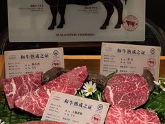 -火浪壹 by tigergrill(33小镇店)