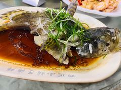 -四川小胡子海鲜(丁村万人海鲜广场店)