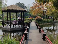 -成飞公园