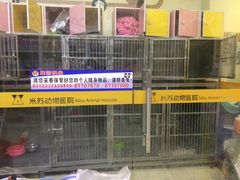 -米苏动物医院·犬猫专科·骨科外科内窥镜