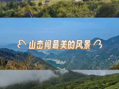 -江南天池