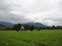 -瑞穗牧场