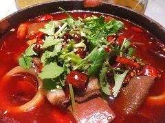 -雀蓝川菜(奥体广场店)