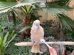 -南宫五洲植物乐园