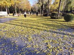 -西清公园