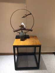 -深圳原色医疗美容