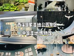 -中国湿地博物馆