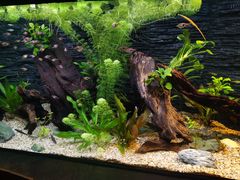 -上海海洋水族馆