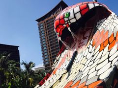 -亚马逊丛林水乐园