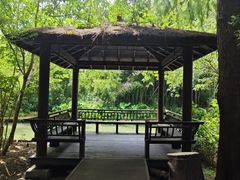 -同里国家湿地公园