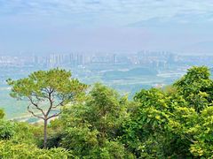 -鼎湖山风景区