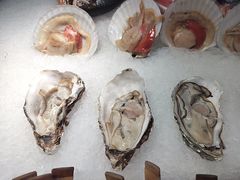 -鸽子窝(宋庄店)