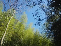 -紫金山索道-售票处