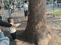 -西湖游船