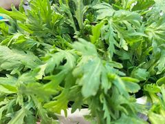 茼蒿菜-金龙·打边炉(武进路店)