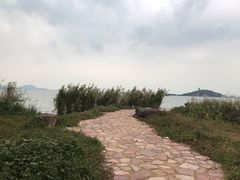 -上海市保健医疗中心(华东疗养院)