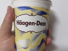-哈根达斯(国瑞店)