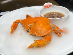 -红盔甲·小龙虾(人民广场店)