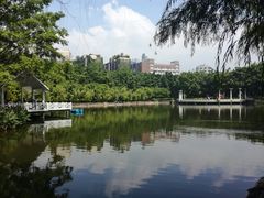 -竹湖园公园
