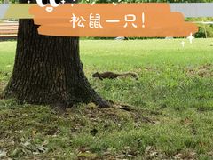 -新虹桥中心花园