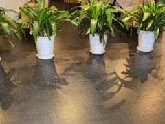 -峨嵋酒家(牡丹园店)