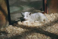 -酷嗒动物文化乐园(cutezoo西溪乐天城店)