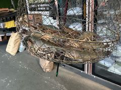 -光头佬室内钓虾场·烧烤·团建·亲子(中山八路店)