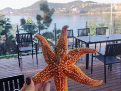 -斯通泰伯酒店-餐厅