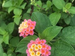 -明谷行馆·温泉