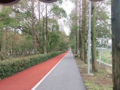 -上海长兴岛郊野公园