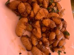 -台山新孖宝柴火黄鳝饭(三合温泉店)