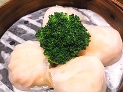 -海联潮港城