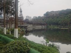 -重庆彩云湖湿地公园