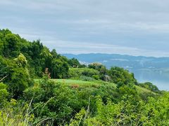 -昆明春城湖畔度假村