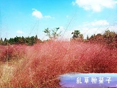 -同里国家湿地公园