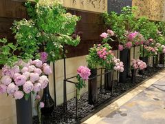-北京四季酒店