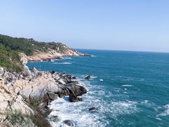 -广东惠东海龟国家级自然保护区