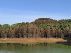 -青龙山国家森林公园
