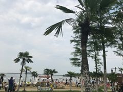 -瑶湖郊野森林公园