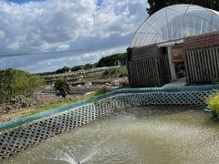 -美家乐农庄·露营·团建(大治路店)