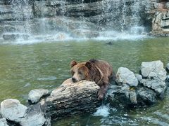 -北京野生动物园