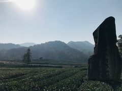 -听风阁农家私房菜茶楼(龙坞店)